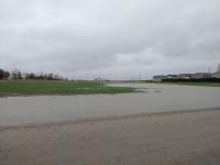 Sask producers get expanded AgriStability support after wet growing season