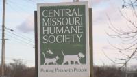 Central Missouri Humane Society halts dog intakes after parvovirus case