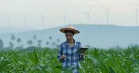 Climate Smart returns: From regenerative agriculture to climate-proofing cocoa, coffee and rice supply chains
