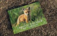 2027 Virginia Wildlife Calendar