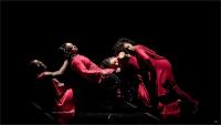 WOMAD Cape Town 2026: Artscape to host New Generations and United 4 Humanity concerts