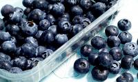 Frozen berry recall expanded to additional stores and 16 states over fears of contamination with deadly bacteria