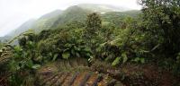 Dominica updates management plans for Morne Trois Pitons and Morne Diablotin