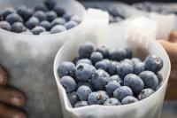 OZblu expands Chinese supply window with first Zimbabwean shipment