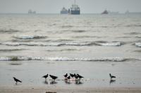 AP News: Iran targets Kuwait in retaliation for US bombardments, and other Mideast news