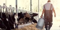 Pray to these saints for farmers, their animals and crops