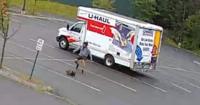 Mysterious animal attacks 3 people in New Hampshire