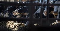As the U.S. and Canada slap new tariffs on goods, American farmers are stuck in the middle