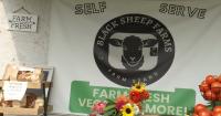 New Indiana homesteading law expands what small farms can sell directly to consumers