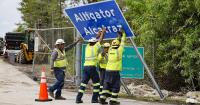 Florida immigration contracts quietly surged to $1.4 billion in disaster dollars