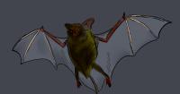 'Print Jockey': Next bat-er up!