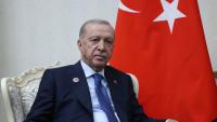 Turkey prosecutors indict comic for Erdogan insult