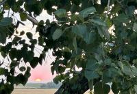 Mayfair and Area News: ‘Tis the season for final farmers markets