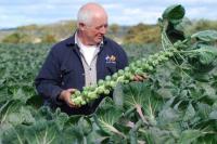 Find out who the top 50 agricultural businesses in Scotland are