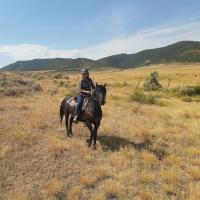 Colorado ranchers join fight against fossil fuel companies