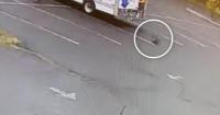 Watch: 'Unusually Aggressive' Mystery Animal Attacks Man In New Hampshire