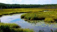 Farmers, Builders, And Texas Landowners Get Another Say On Clean Water Act Reach