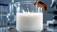 Cockroach milk, candy theft and buried underwear: Why scientists won the 2026 Ig Nobel Prizes