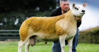 A 68,000gns shot as Jagerbomb tops Lanark trade