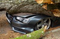 The Hidden Cost of a Car Accident: How a Crash Can Derail a Small Business Owner