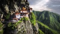 WHO validates Bhutan’s elimination of dog-transmitted rabies