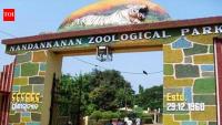 Nandankanan to get red kangaroos from Czech Republic zoo