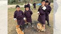 WHO confirms Bhutan is first South-East Asian nation to achieve rabies-free milestone