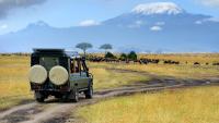 Popular luxury travel company abruptly cancels all trips