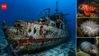 In 2002, South Australia sank ex-HMAS Hobart in under 3 minutes; 18 years later...