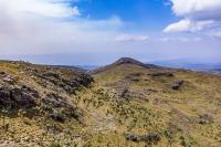 Africa’s Rangelands Are the Frontline of Resilience – COP17 Showed Why