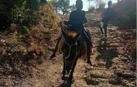 AMERICA/HAITI - Father Miraglio: “In a country in disarray, we are building communities of peace and solidarity”