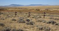 What crisis line reports reveal about mental health in the rural West