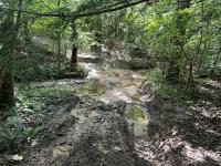 Road Use Designations Updated At Bledsoe State Forest