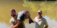 West Virginia man catches state record blue catfish, WVDNR announces