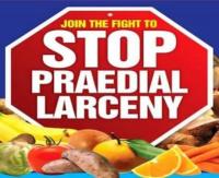 Ministry of Agriculture steps up fight against Praedial Larceny in SVG