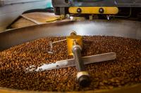 Which coffee loyalty program is best: Starbucks, Dunkin' or Dutch Bros?