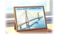China-Egypt partnership offers a valuable model for Global South: former Egypt PM