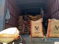 Bubanza : farmers face a persistent shortage of chemical fertilizers