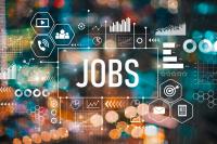 Economy Adds 29,000 jobs; Unemployment Ticks Up