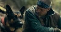 Heart of the Beast Movie Required Brad Pitt to Become a Dog Trainer, Watch Video