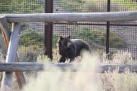 Zoo Idaho invites kids to take a break from new-school-year-stress with their grandparents