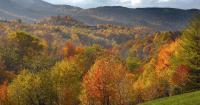 USDA rule repeal could lead to logging in Pennsylvania, Virginia forests