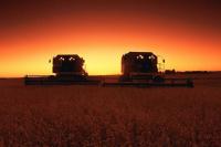 Tariff aid launched as Manitoba farmers add new trade strain to 2026 challenges