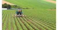 Greece expands €4.14 million aid scheme for alfalfa growers