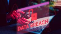 Your Social Security number might already be in the hands of hackers, and the software running US courts just admitted it