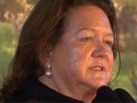 Gina Rinehart identifies the symptoms, misdiagnoses the disease