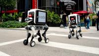 Meet the robot dog climbing your steps while pushing ads along the route