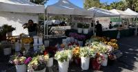 The farmers market stresses me out. One baker changed that