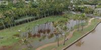 $3 million in storm relief grants open for Oahu small businesses