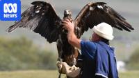 What are the World Nomad Games and why are Australians competing?